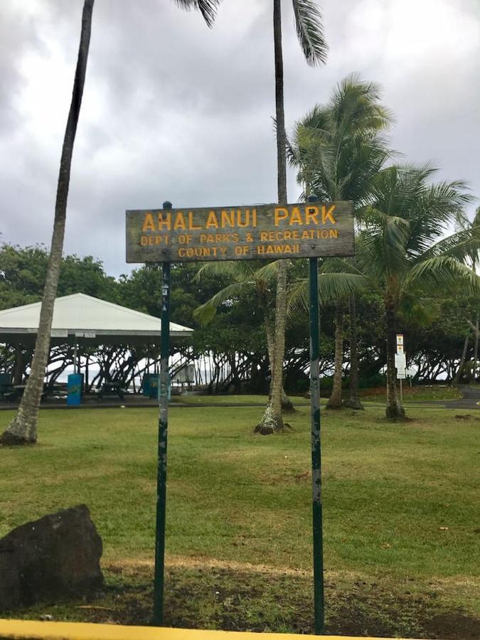 The Cozy Big Studio -30 Days Kailua-Kona Eksteriør billede